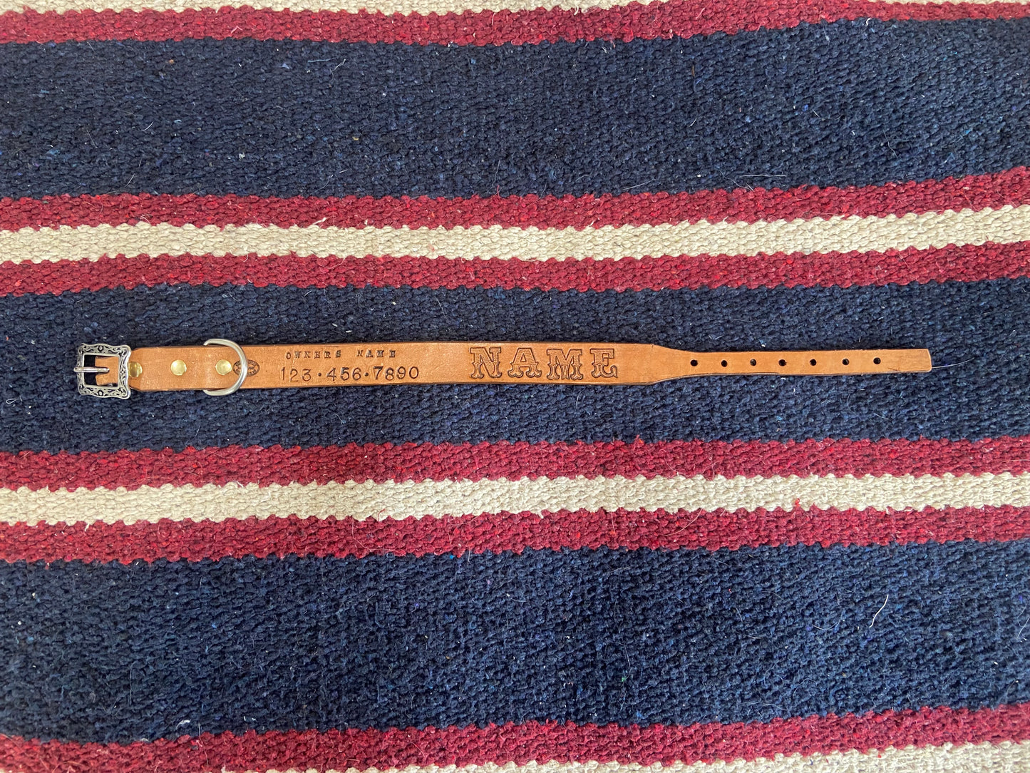 Dog Collars