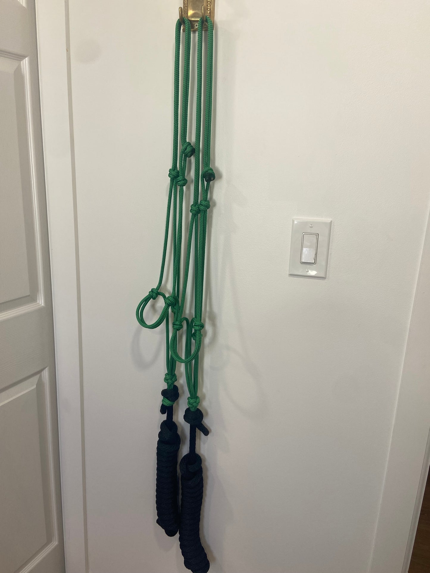 Lead Rope