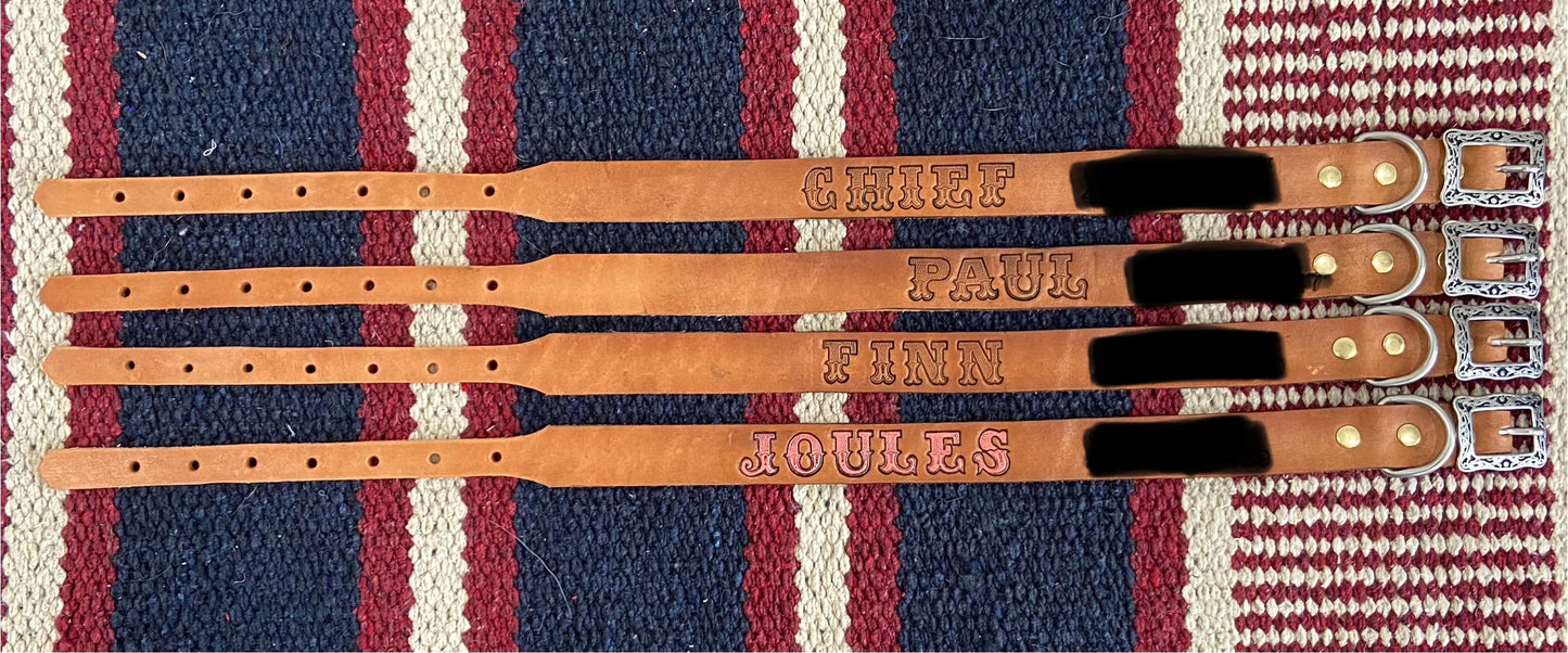 Dog Collars