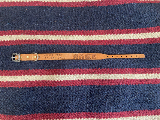Dog Collars
